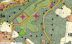 Będzie protest ws. nowych teren&oacute;w pod cmentarz w Kazimierzu