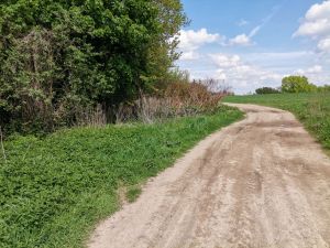 Śmieci w kazimierskich  wąwozach, problem kt&oacute;ry władze Kazimierza ignorują