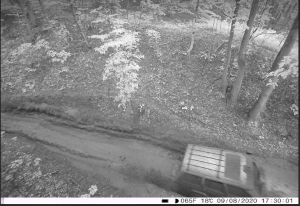 Powstanie Plan ochrony Kazimierskiego Parku Krajobrazowego