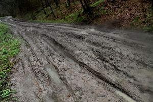 Czas zawsze prawdę ujawni...