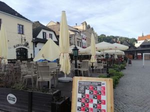 Komu służy  konserwator  zabytk&oacute;w ?