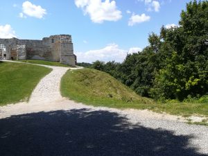 Na wzg&oacute;rzu zamkowym jest drogo, ale mucha nie siada