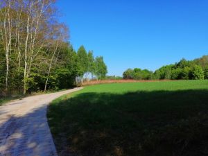 Kazimierskie wąwozy wypełniają śmieci i odpady