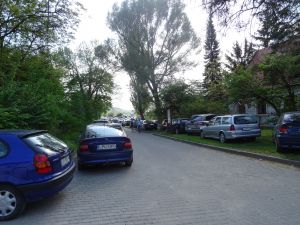 Miasto bez gospodarza? Problem parkowania