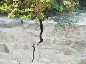 Podw&oacute;jne standardy.